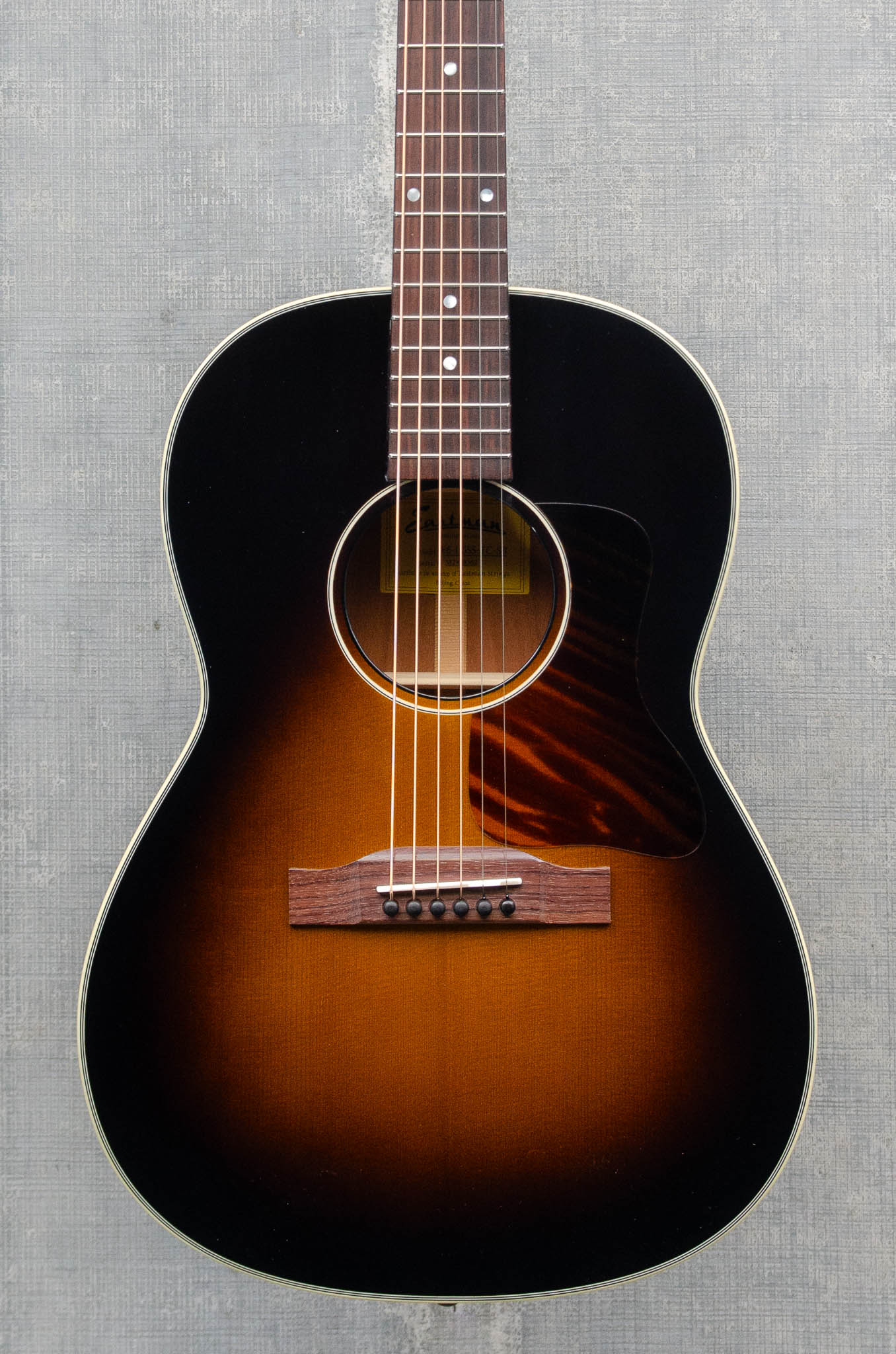 Eastman E6 LGSS Thermo-Cure