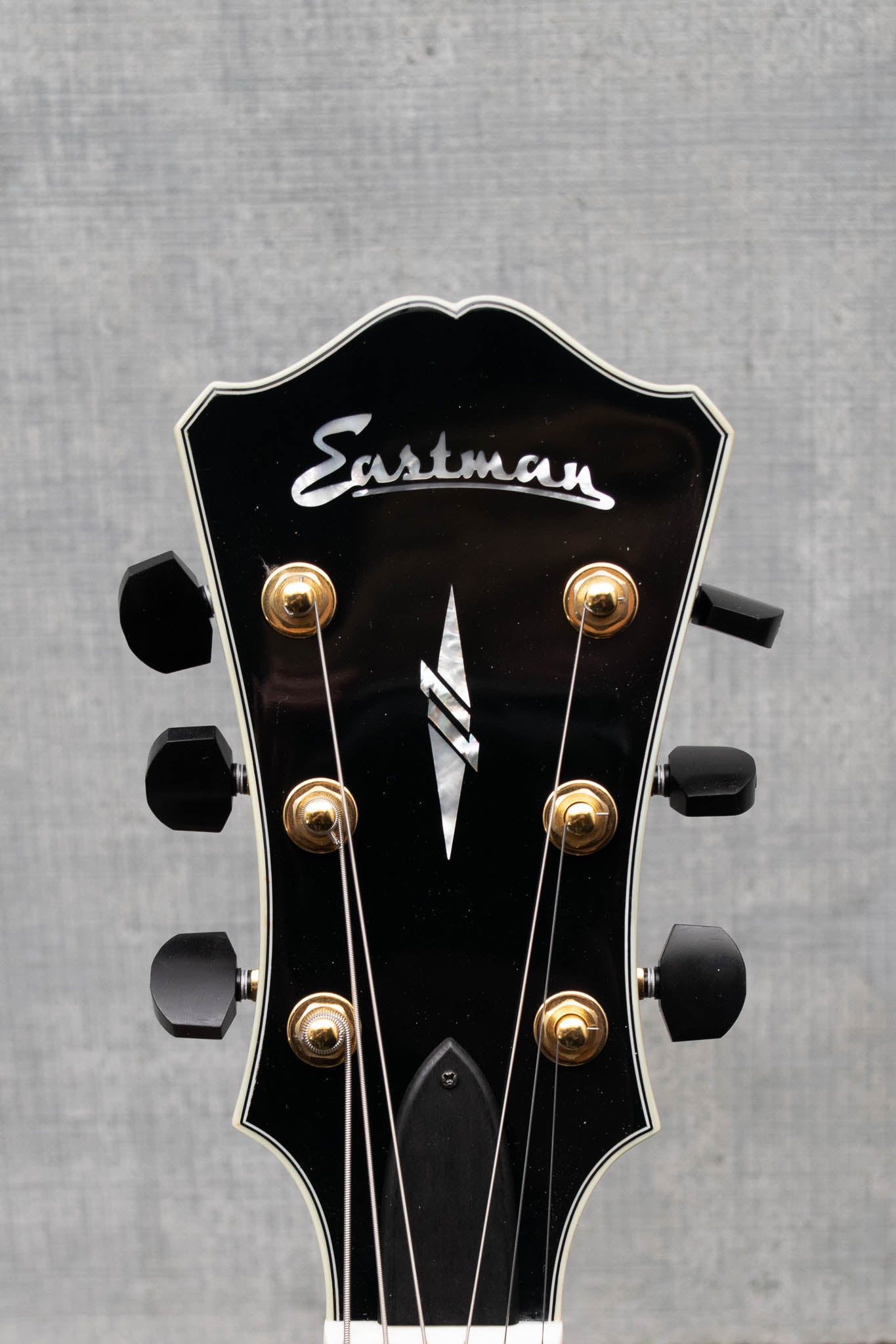 Eastman AR810CE