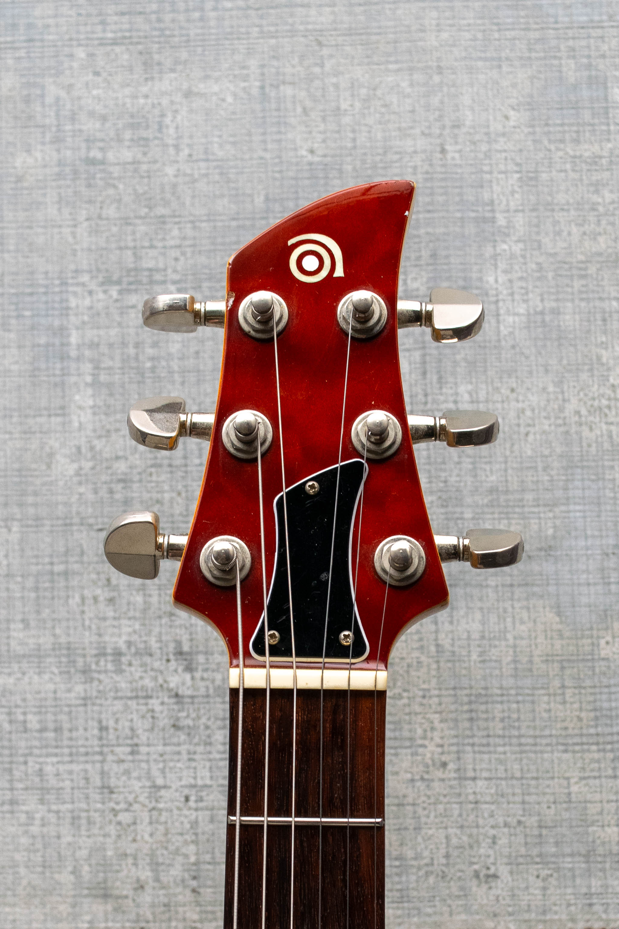 Used Ampeg AMG-1 QM - Burst