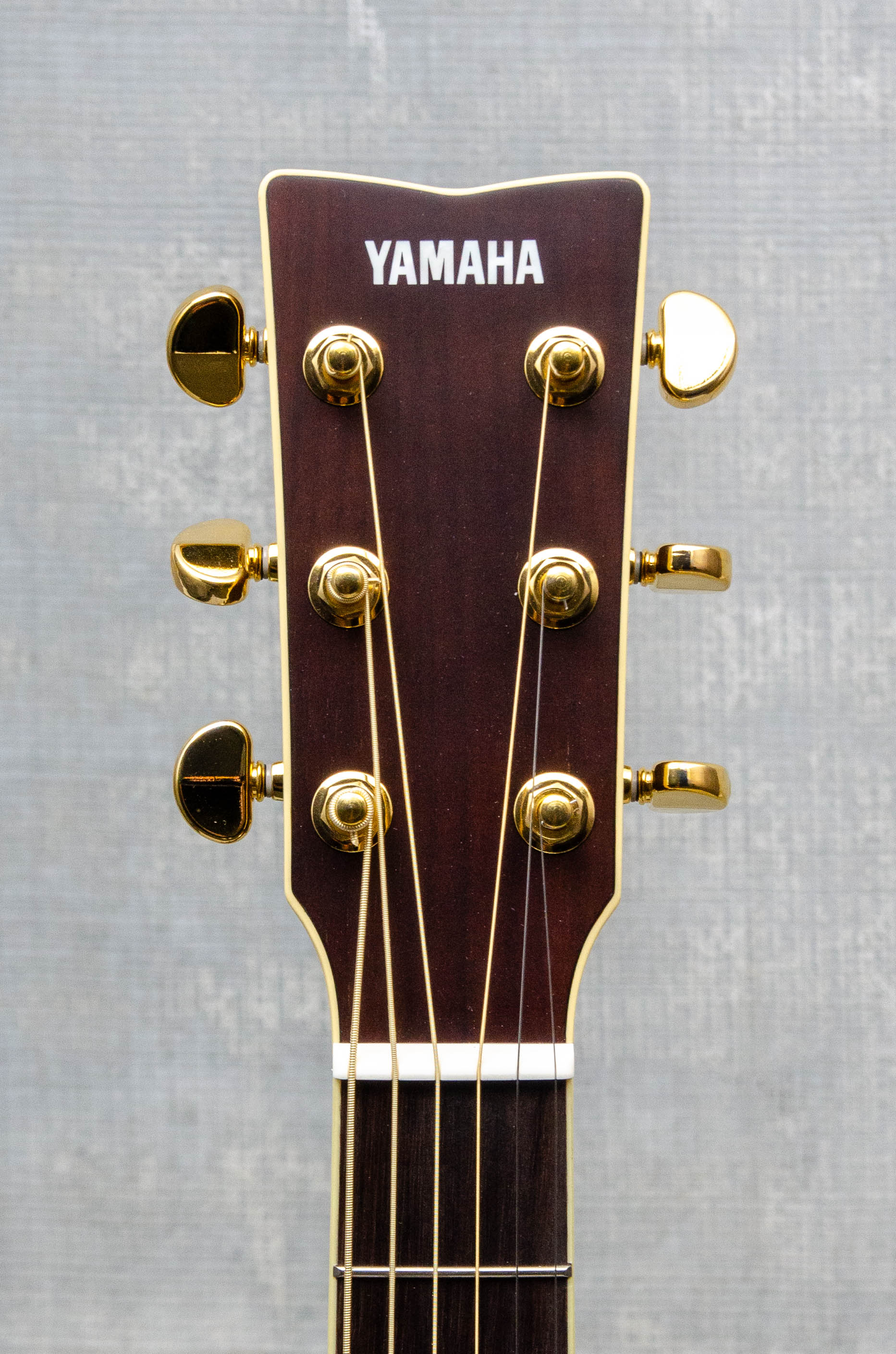 Yamaha LS6M ARE Acoustic