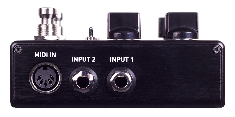 Source Audio Encounter Ambient Delay + Reverb