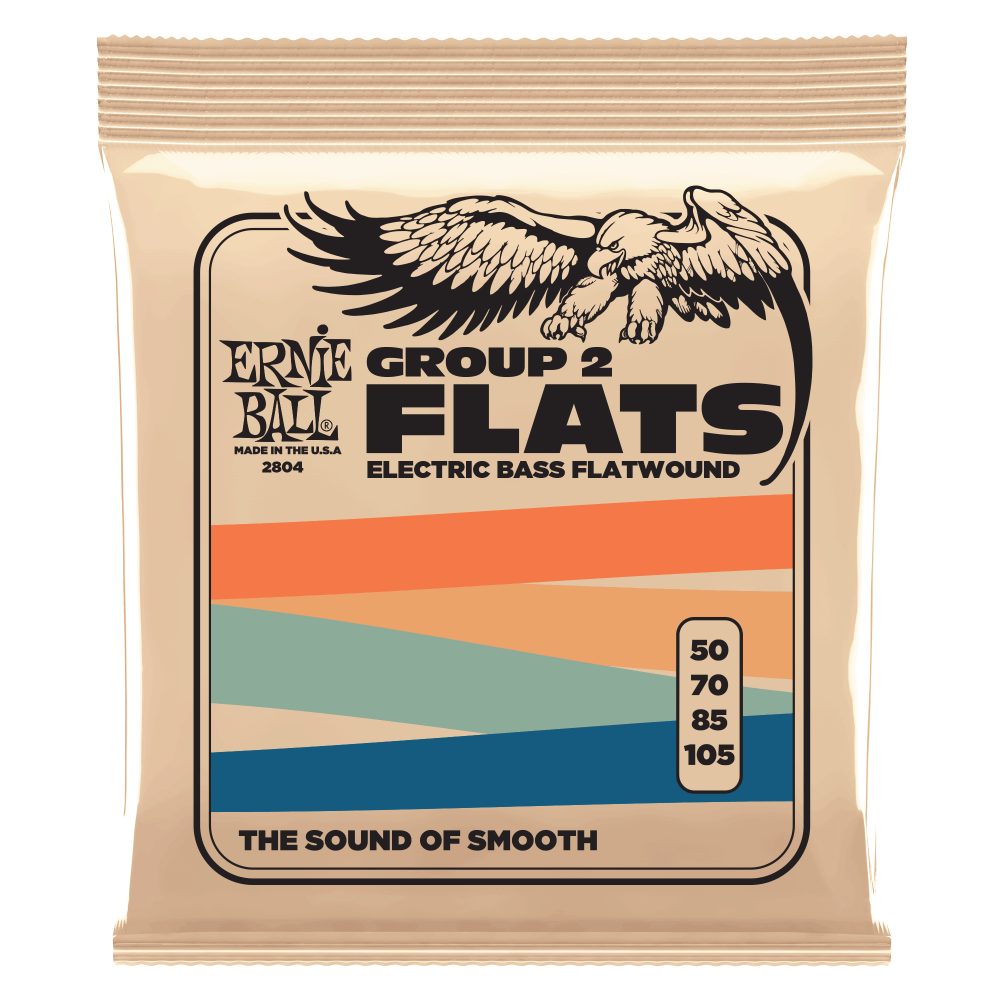 Ernie Ball Group 2 Flats Stainless Steel Flatwound Bass Strings 50-105
