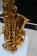Used Valkyrie Alto Sax Beginner Student Model (AS03)