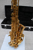 Used Valkyrie Alto Sax Beginner Student Model (AS03)