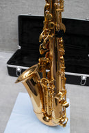 Used Valkyrie Alto Sax Beginner Student Model (AS03)