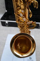 Used Valkyrie Alto Sax Beginner Student Model (AS03)