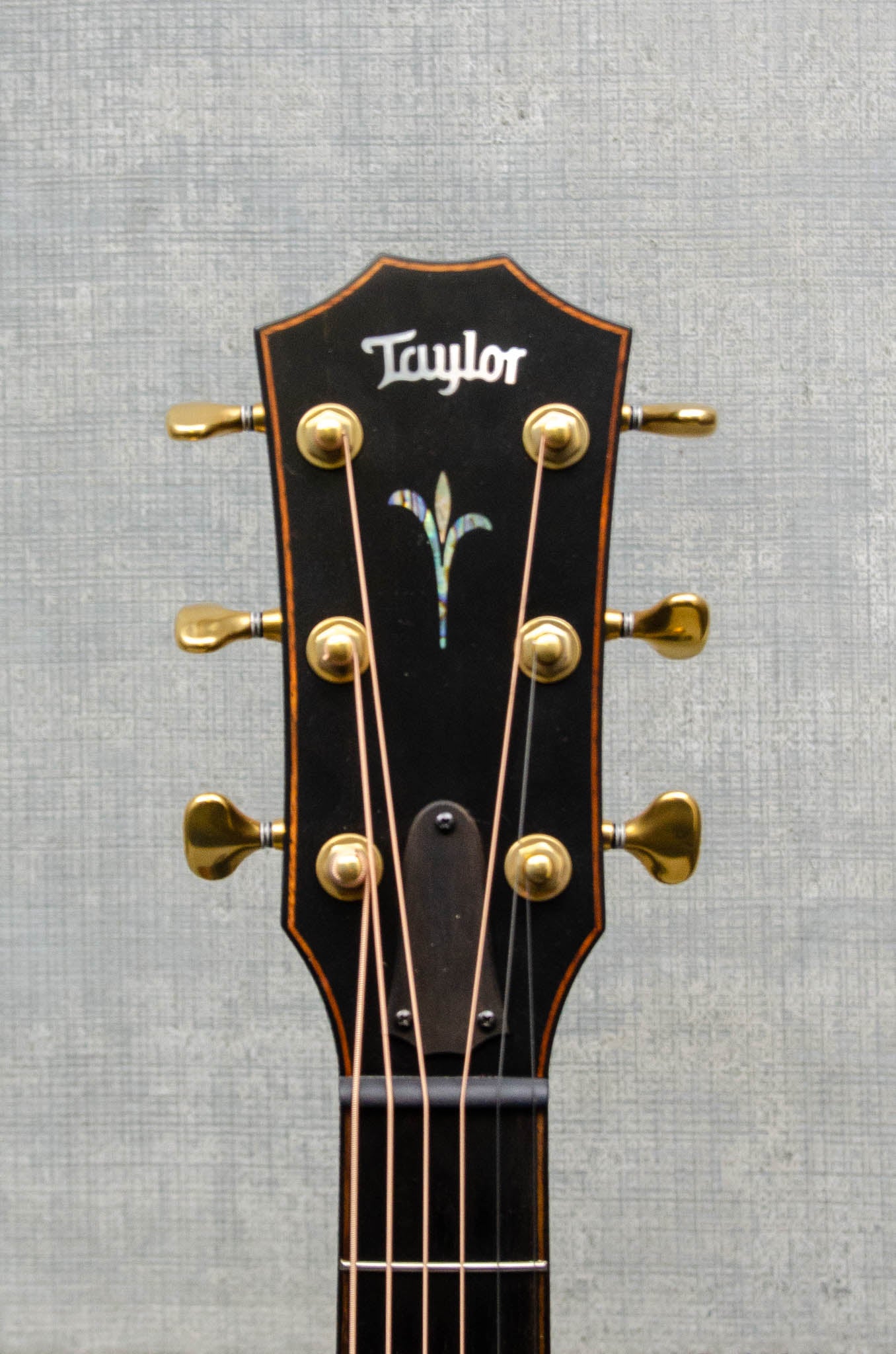 Used Taylor K24CE Builders Edition Acoustic Guitar - (2022)