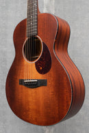 Eastman ACTG1-CLA
