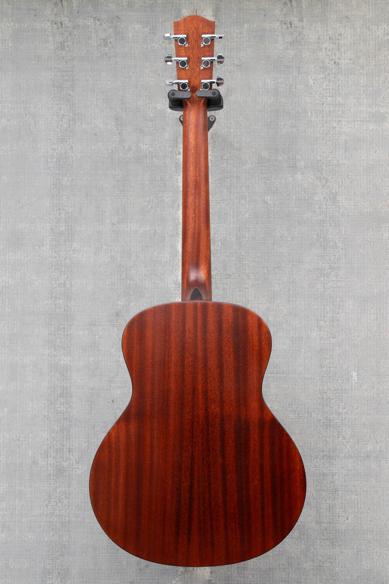 Eastman ACTG1-CLA