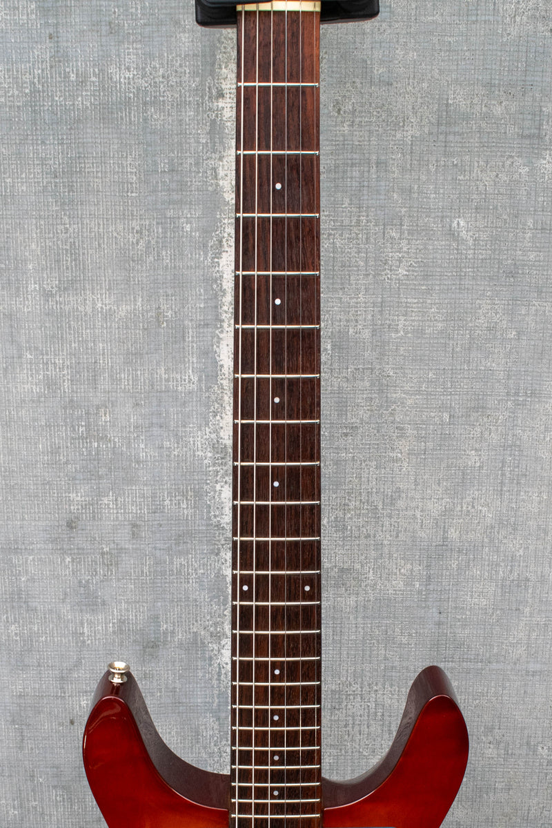 Used Ampeg AMG-1 QM - Burst