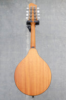 Eastman PCH-M104-GB Mandolin Goldburst (sn384)