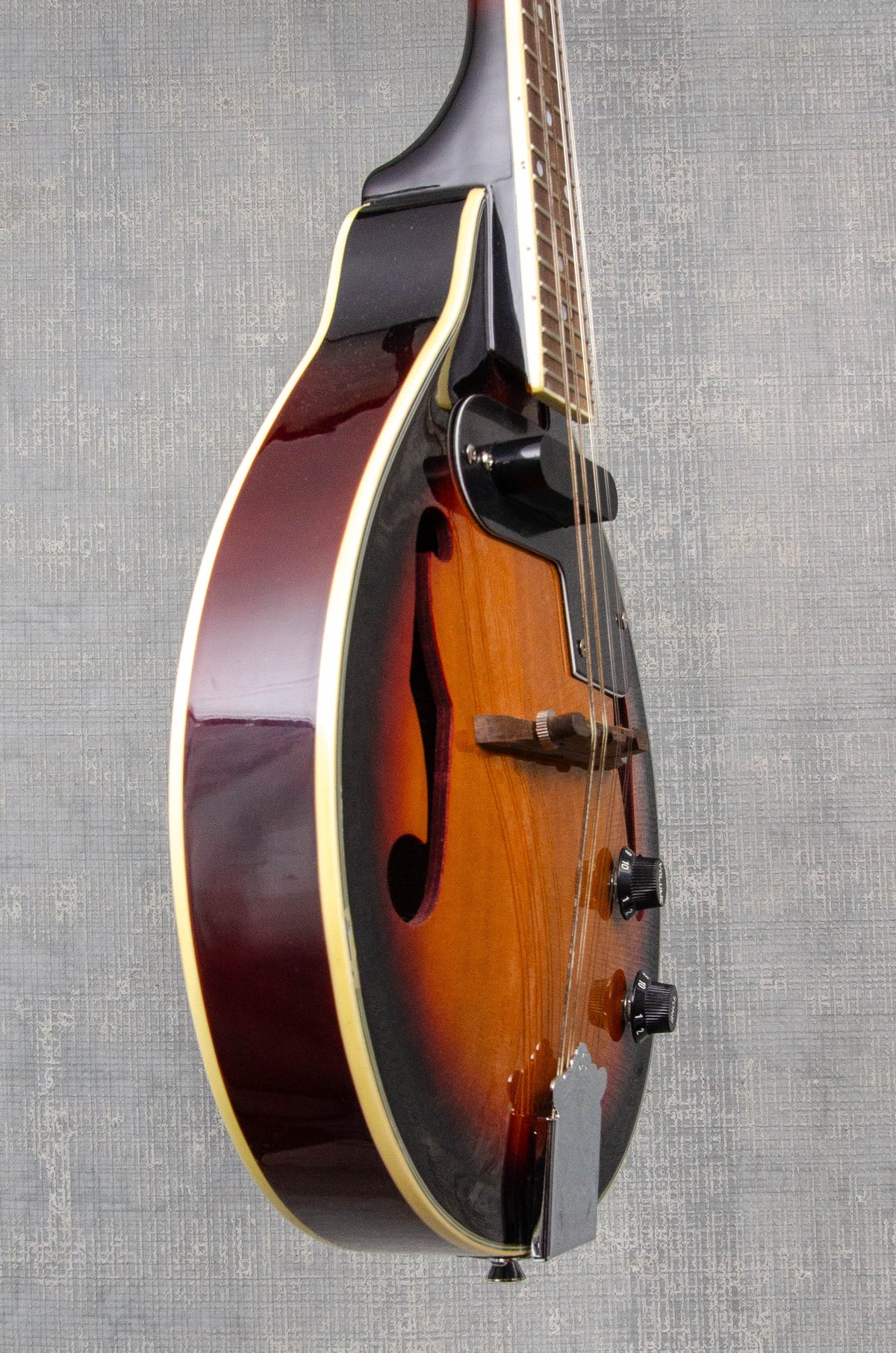 Used New York Mandolin M5