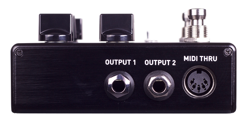 Source Audio Encounter Ambient Delay + Reverb