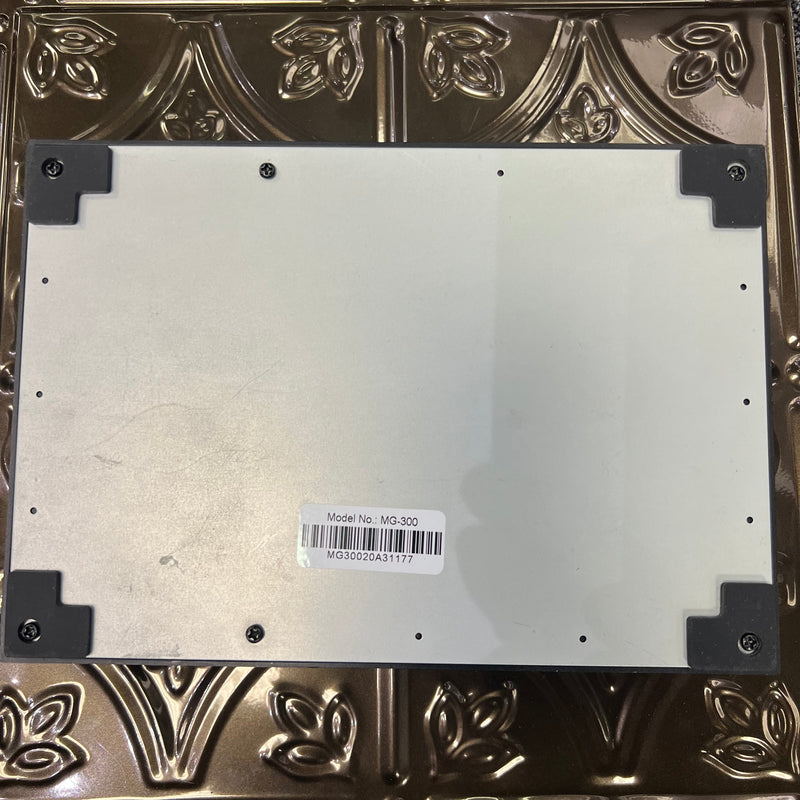 Used NUX MG-300