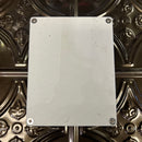 Used Caroline Guitar Company Kilobyte White