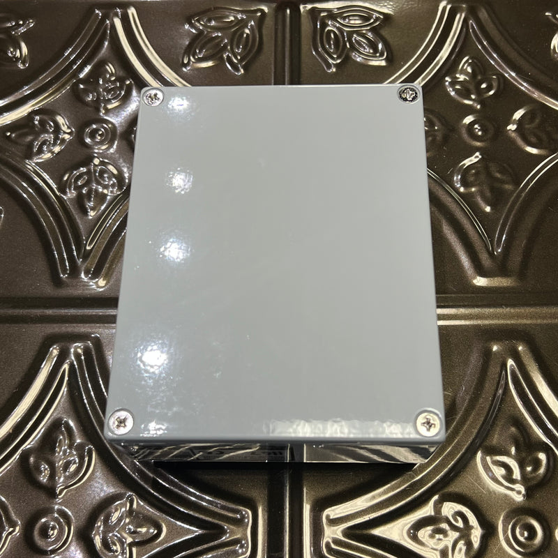 Used Caroline Megabyte Lo-Fi Delay Computer w/box