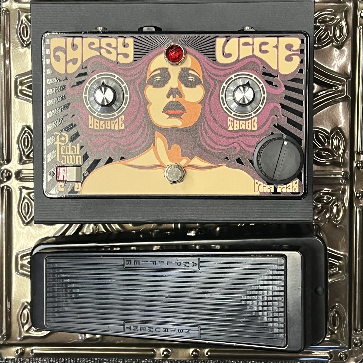 pedal pawn gypsy vibe v2 Used Pedal Pawn Gypsy Vibe V2 with Foot Controller Bundle