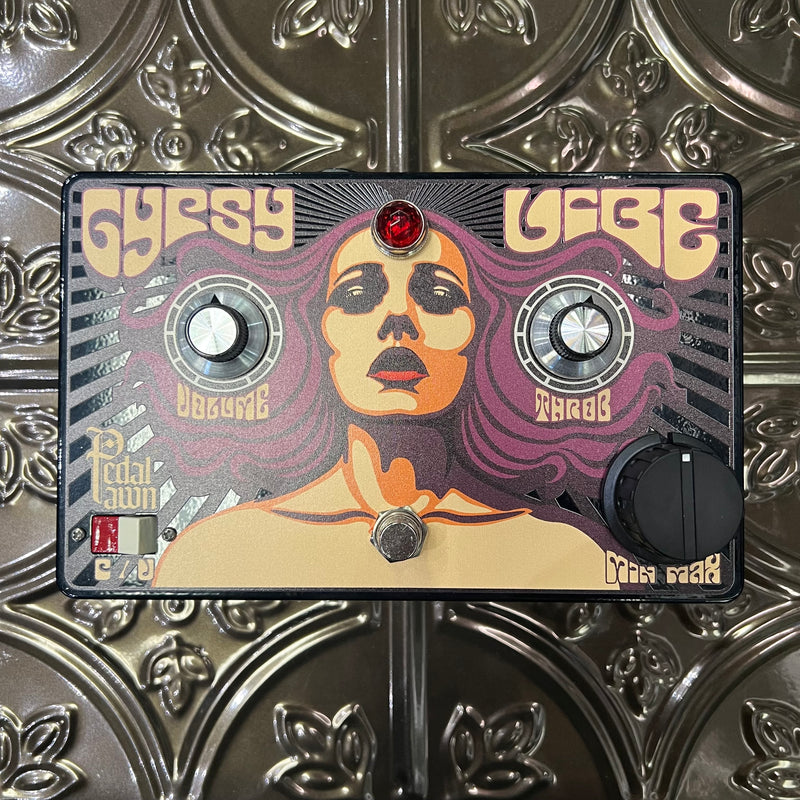 gypsy vibe pedal Used Pedal Pawn Gypsy Vibe V2 with Foot Controller Bundle