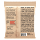 Ernie Ball Group 1 Flats Stainless Steel Flatwound Bass Strings 55-110
