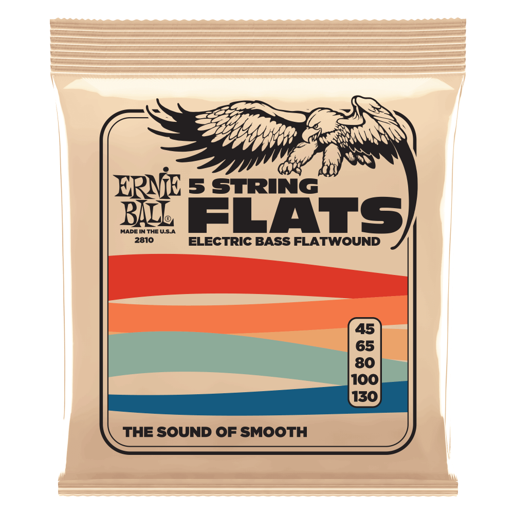 Ernie Ball 5-string Stainless Steel Flatwound Electric Bass Strings 45-130 Gauge