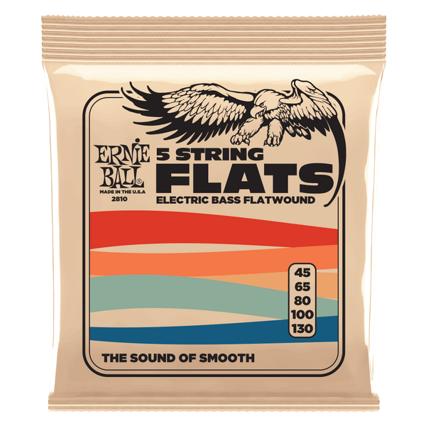 Ernie Ball 5-string Stainless Steel Flatwound Electric Bass Strings 45-130 Gauge