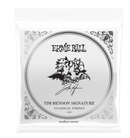 Ernie Ball Tim Henson Signature Classical Strings