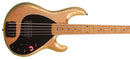 Ernie Ball Music Man DarkRay 5 Gold Bar