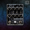 Frost Giant Electronics Architect of Reality Dual Channel Preamp